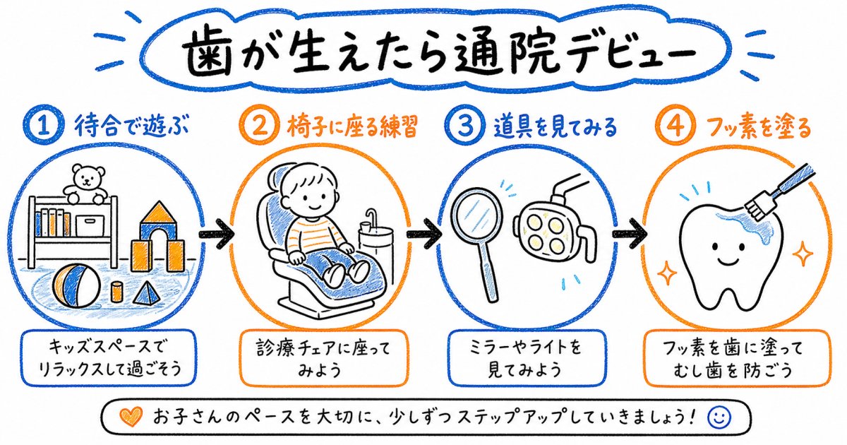 歯が生え始めたら始めるフッ素塗布と通院デビューの進め方