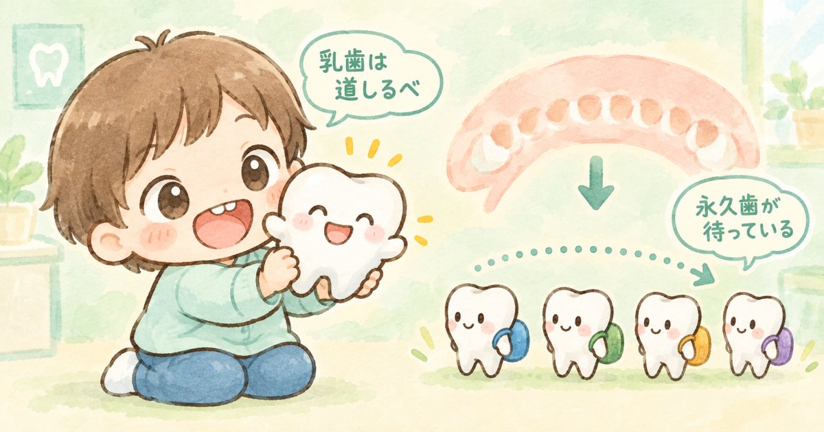 乳歯のむし歯放置による永久歯への影響と見過ごせないリスク